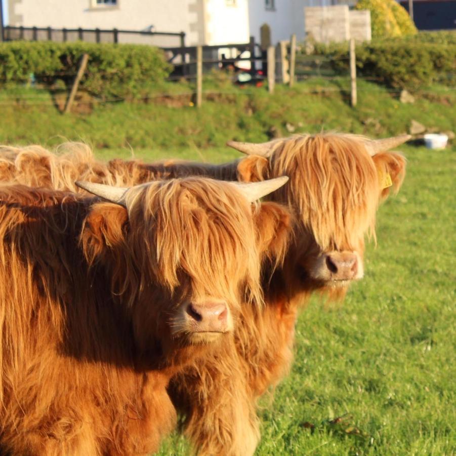 Carnalbanagh House Bed and Breakfast Portstewart Εξωτερικό φωτογραφία
