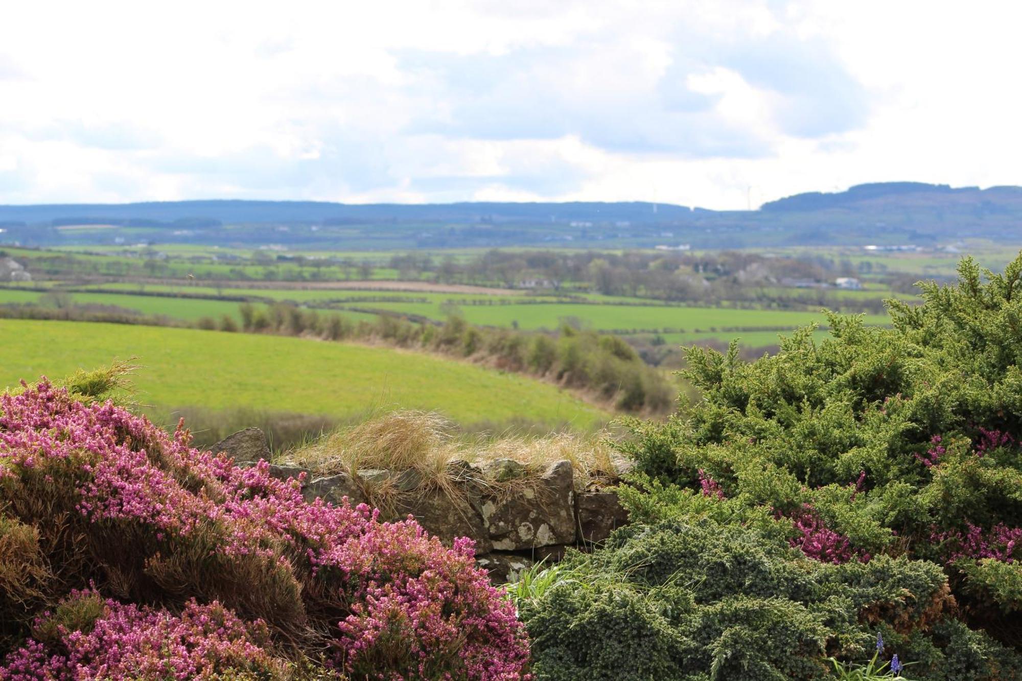 Carnalbanagh House Bed and Breakfast Portstewart Εξωτερικό φωτογραφία